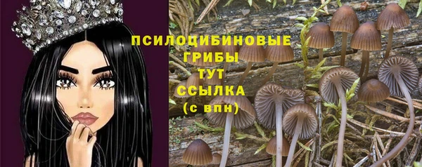винт Балахна