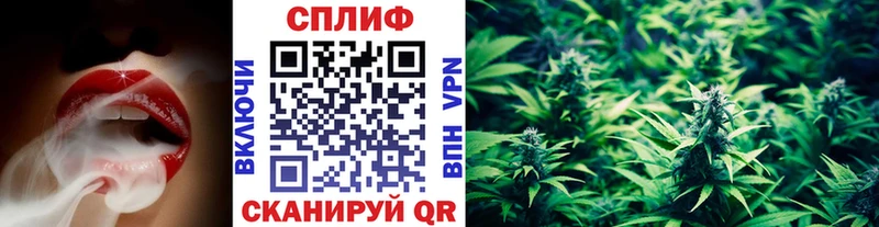 Канабис Bruce Banner  закладки  Плёс 